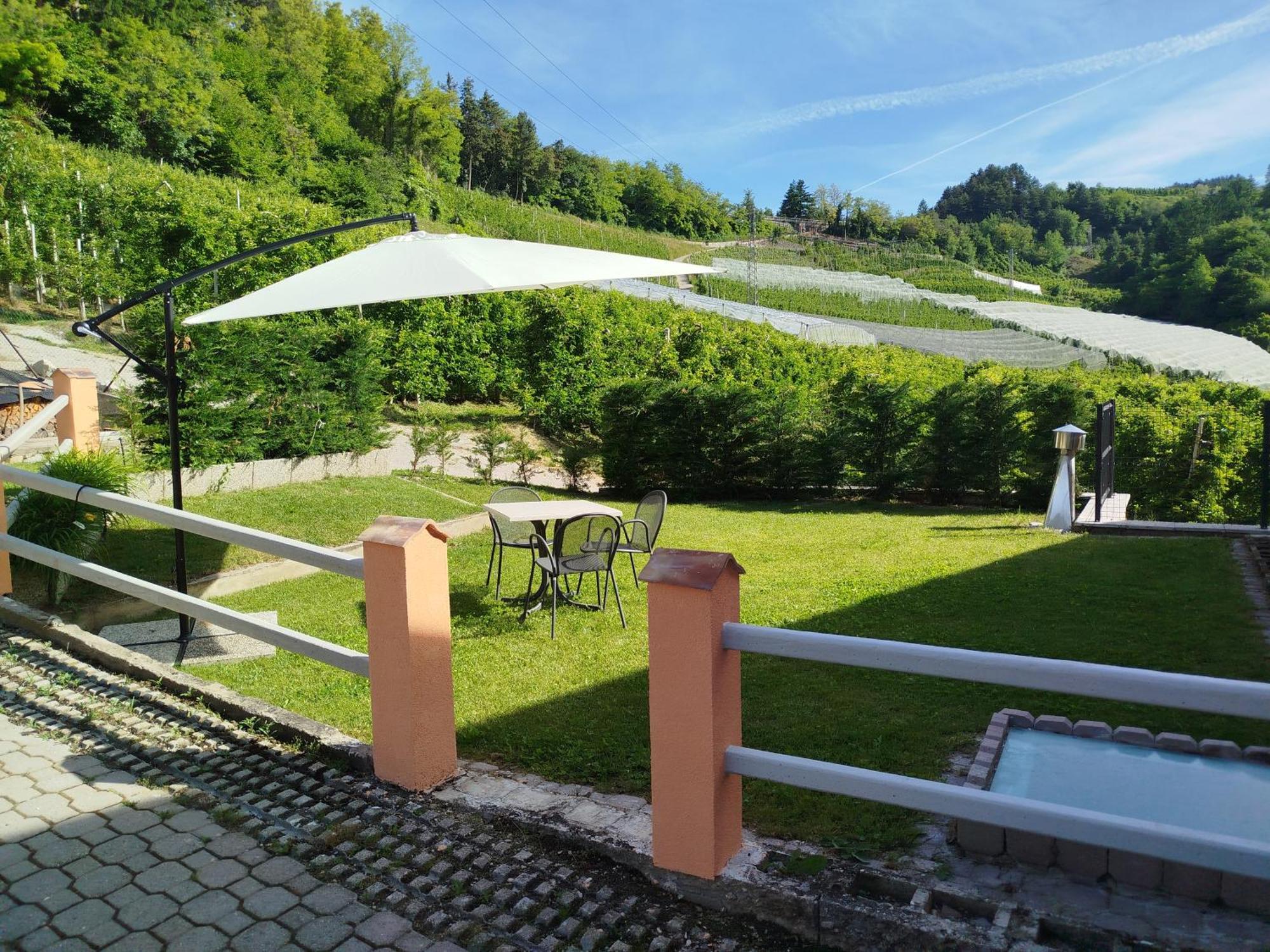 Agritur Casa Al Mulino Appartamenti Sanzeno Kültér fotó